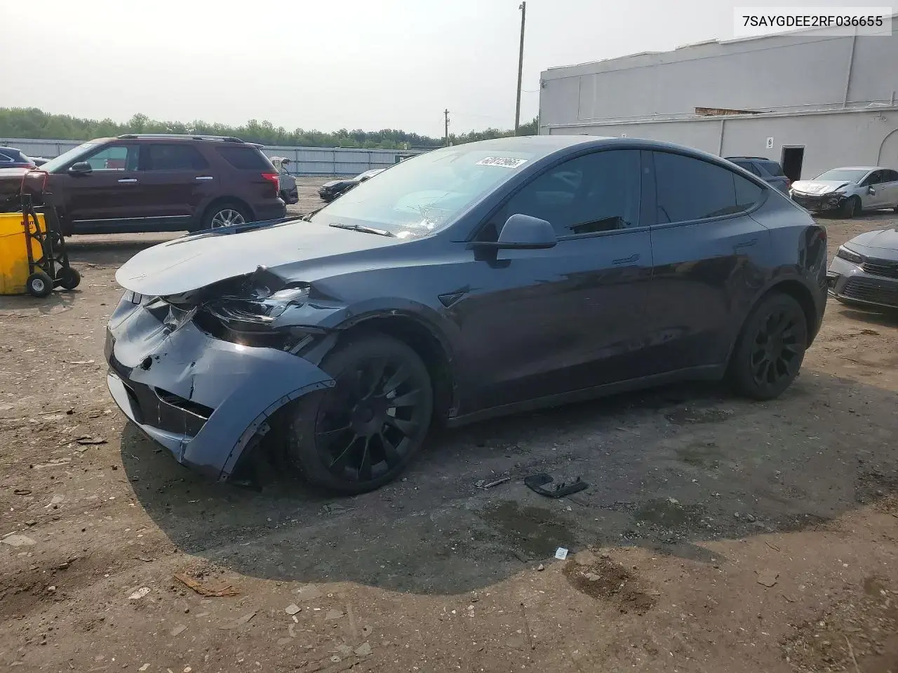Tesla Model Y 2024