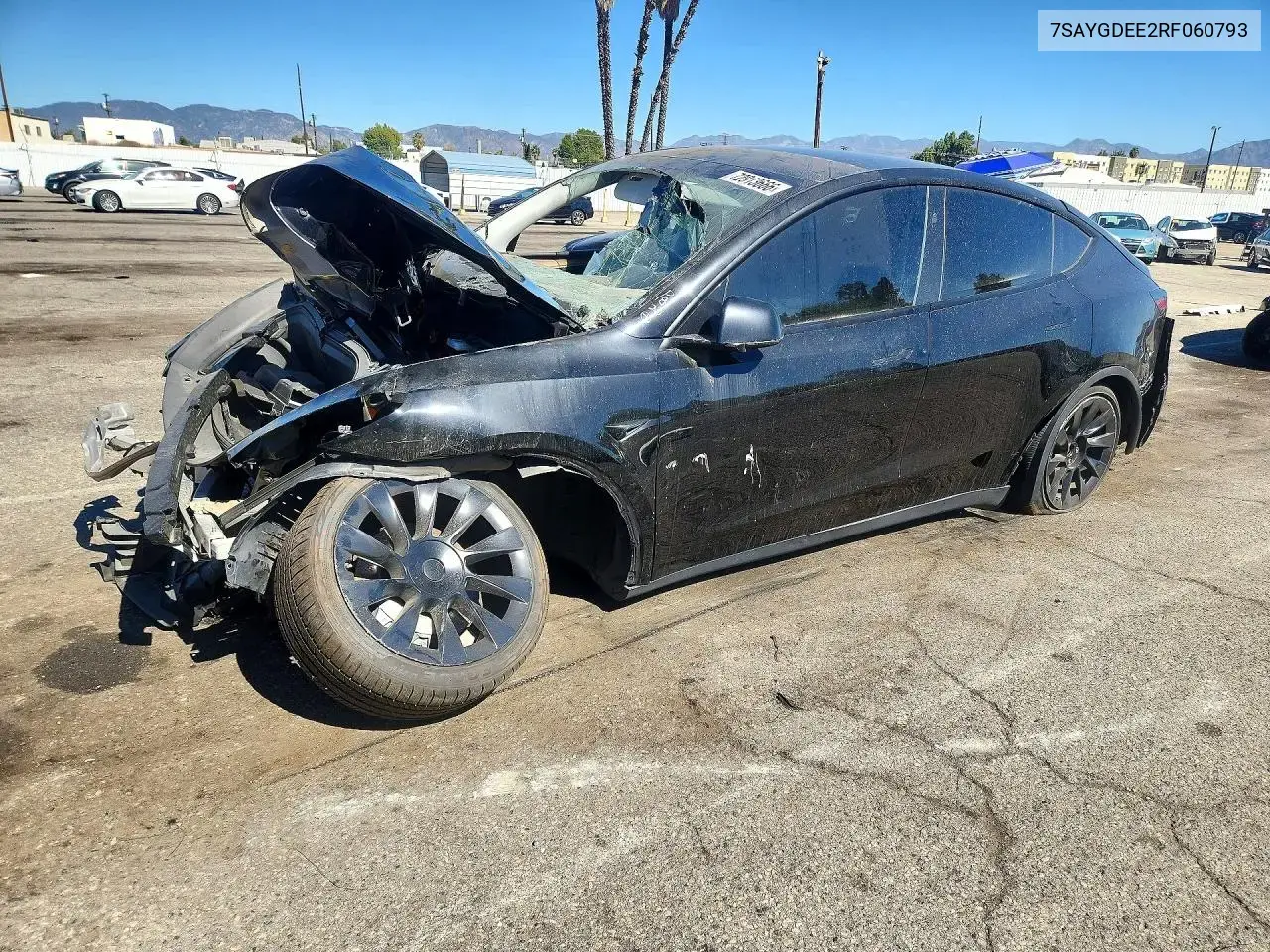 Tesla Model Y 2024