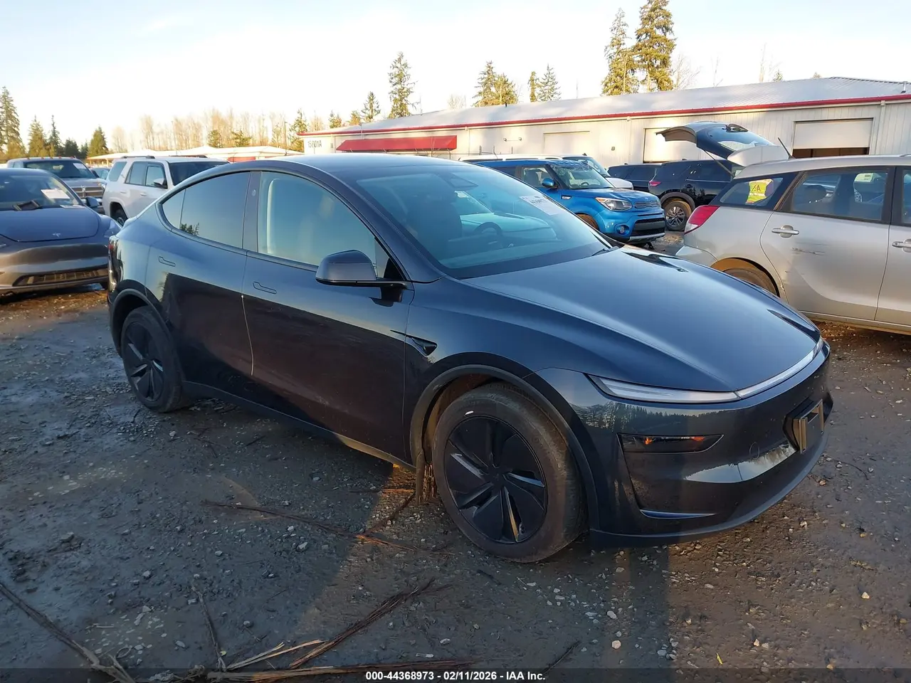 Tesla Model Y Long Range Launch Series/Premium All-Wheel Drive 2026
