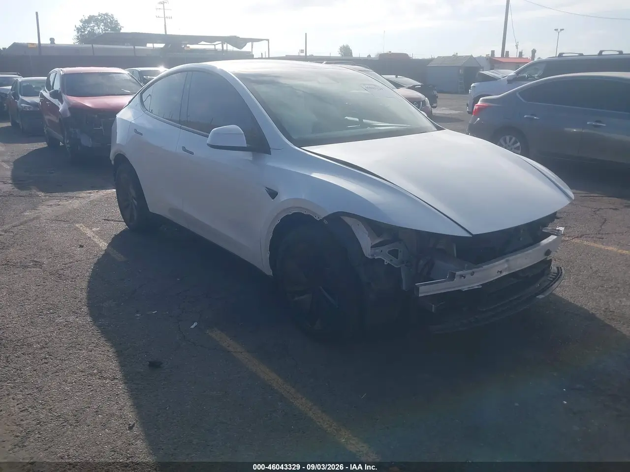 Tesla Model Y All-Wheel Drive/Long Range Launch Series/Premium All-Wheel Drive 2026