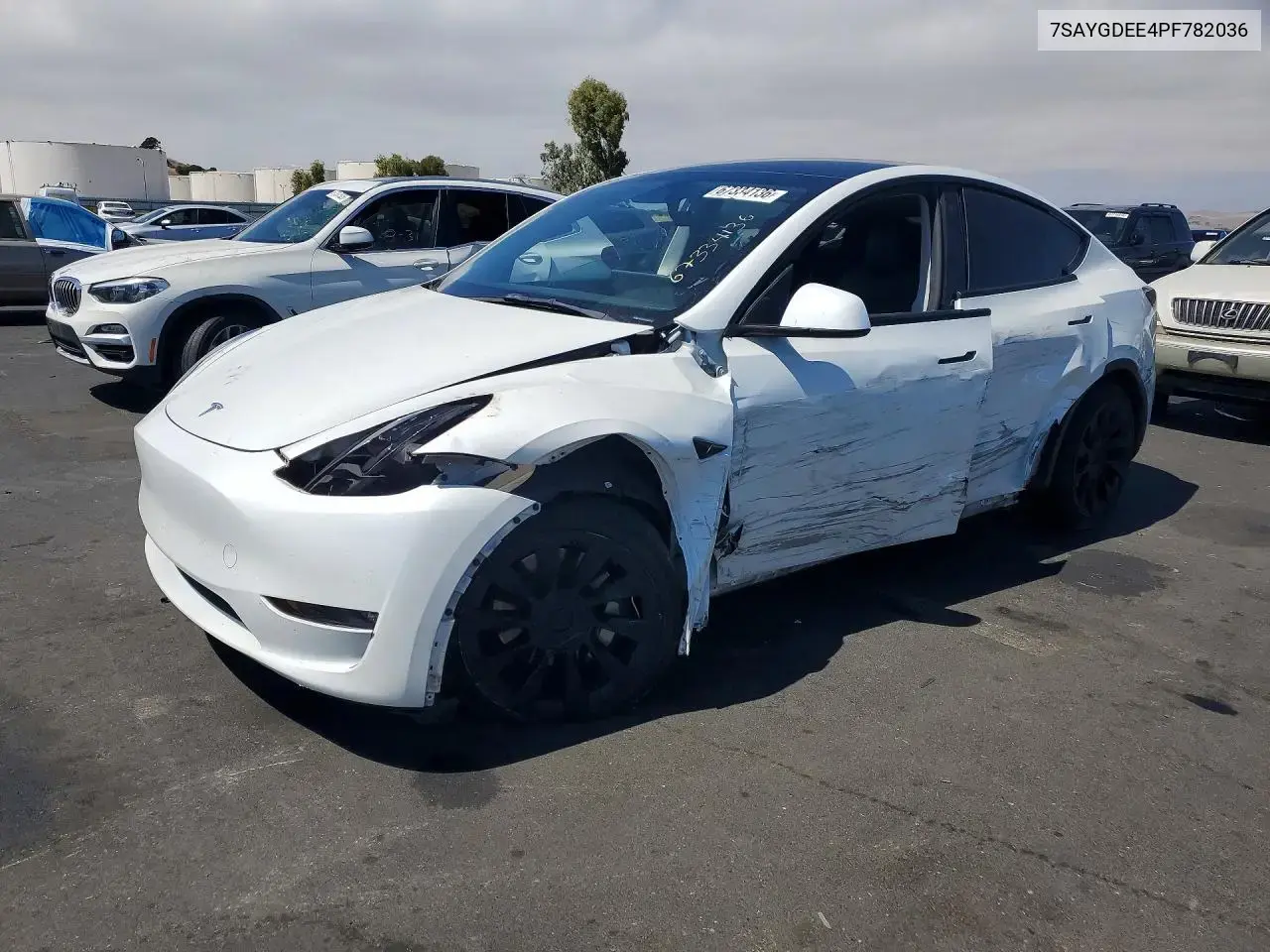 Tesla Model Y 2023