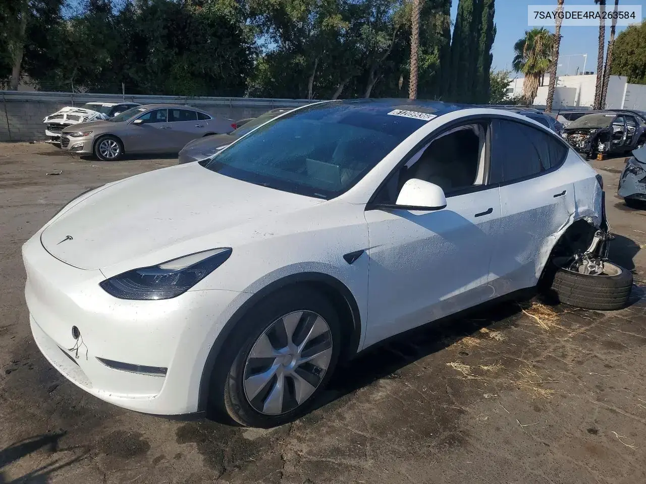 Tesla Model Y 2024