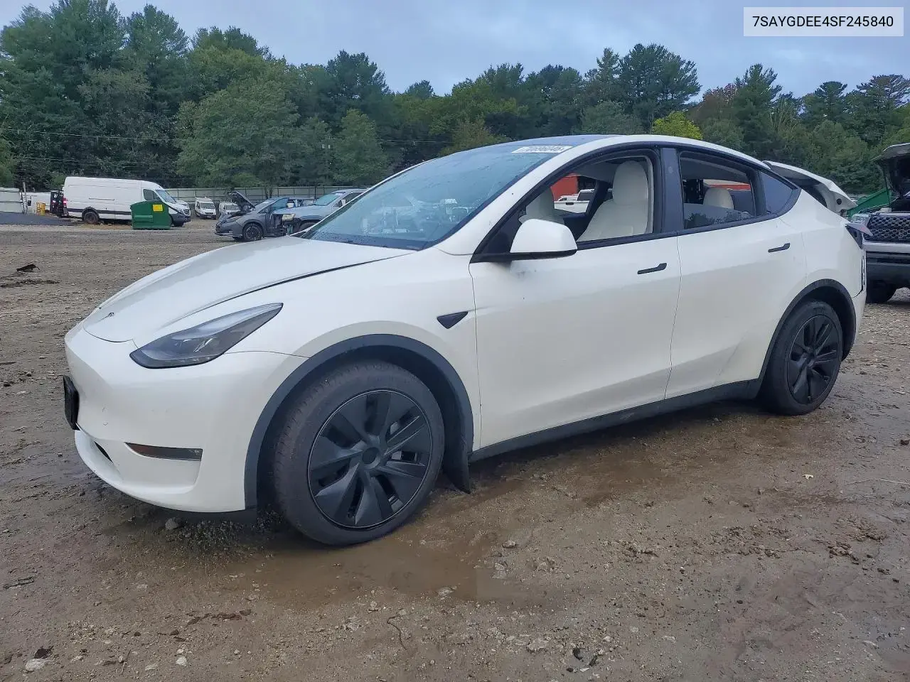 Tesla Model Y 2025