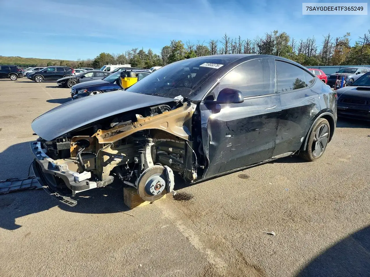 Tesla Model Y 2026