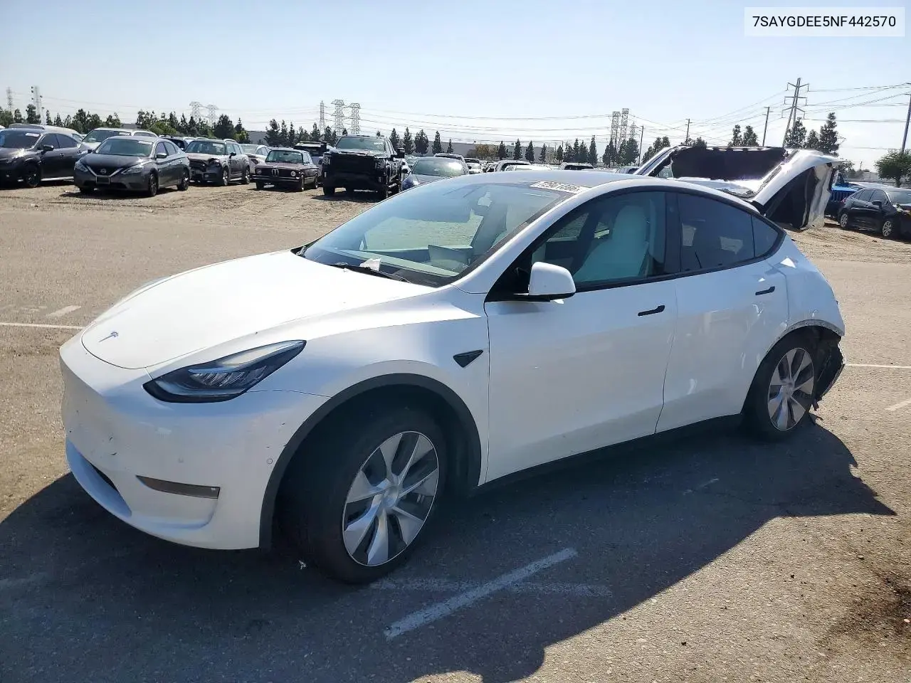 Tesla Model Y 2022