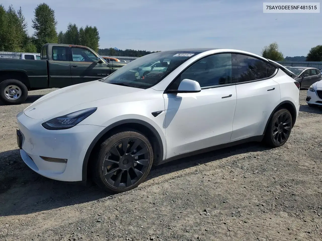 Tesla Model Y 2022