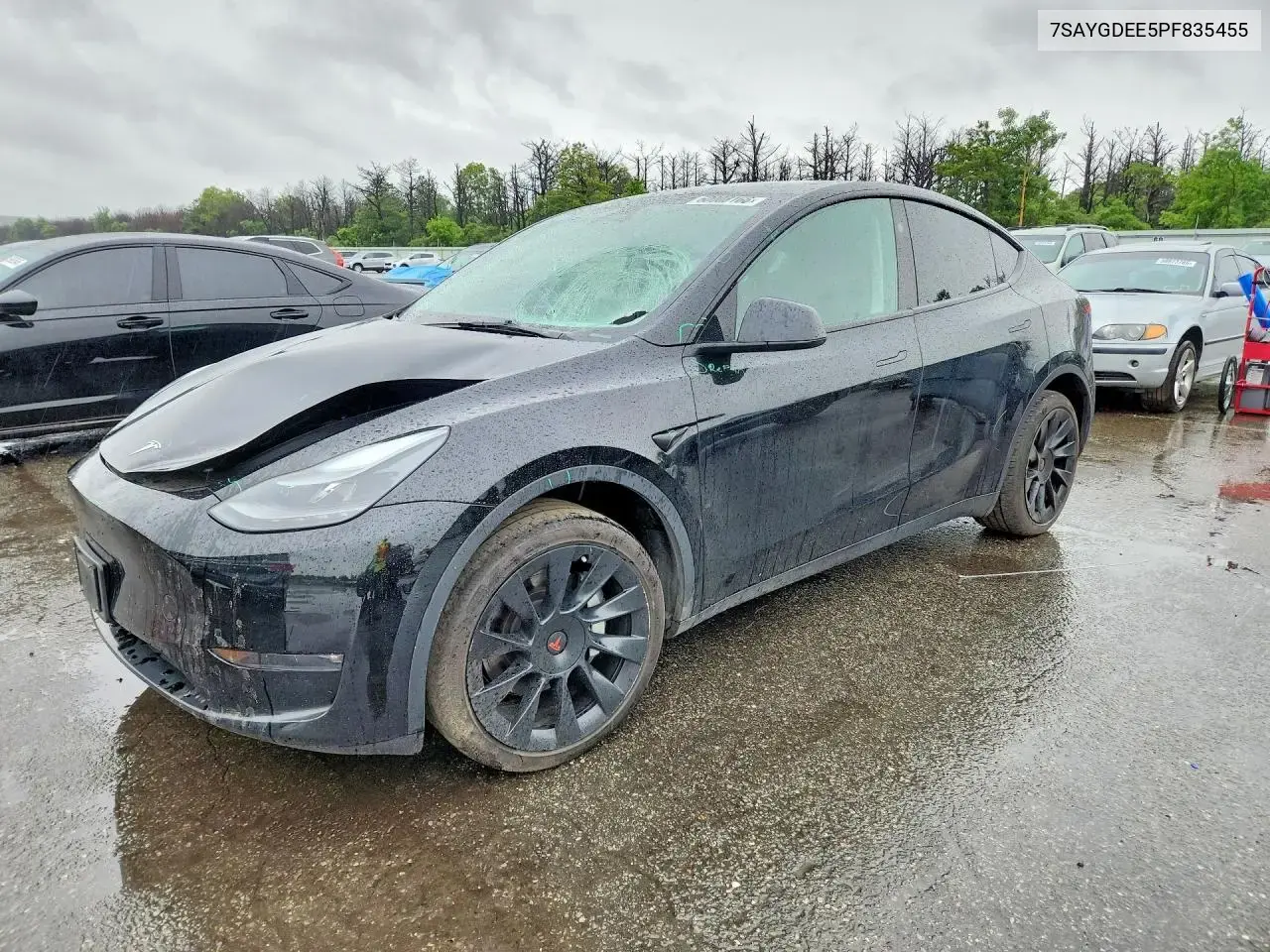 Tesla Model Y 2023