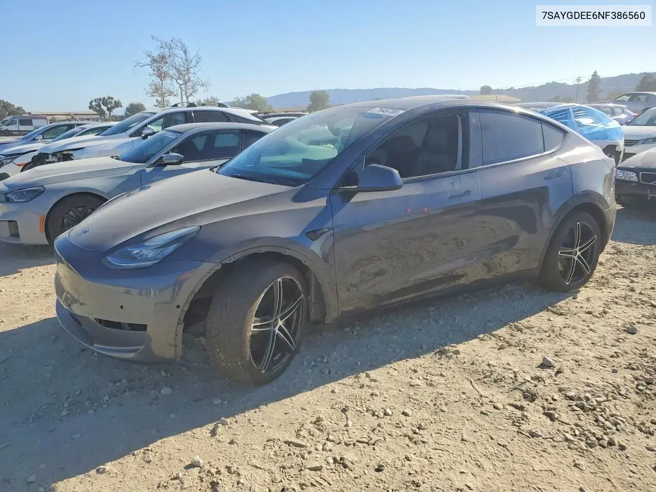 Tesla Model Y 2022