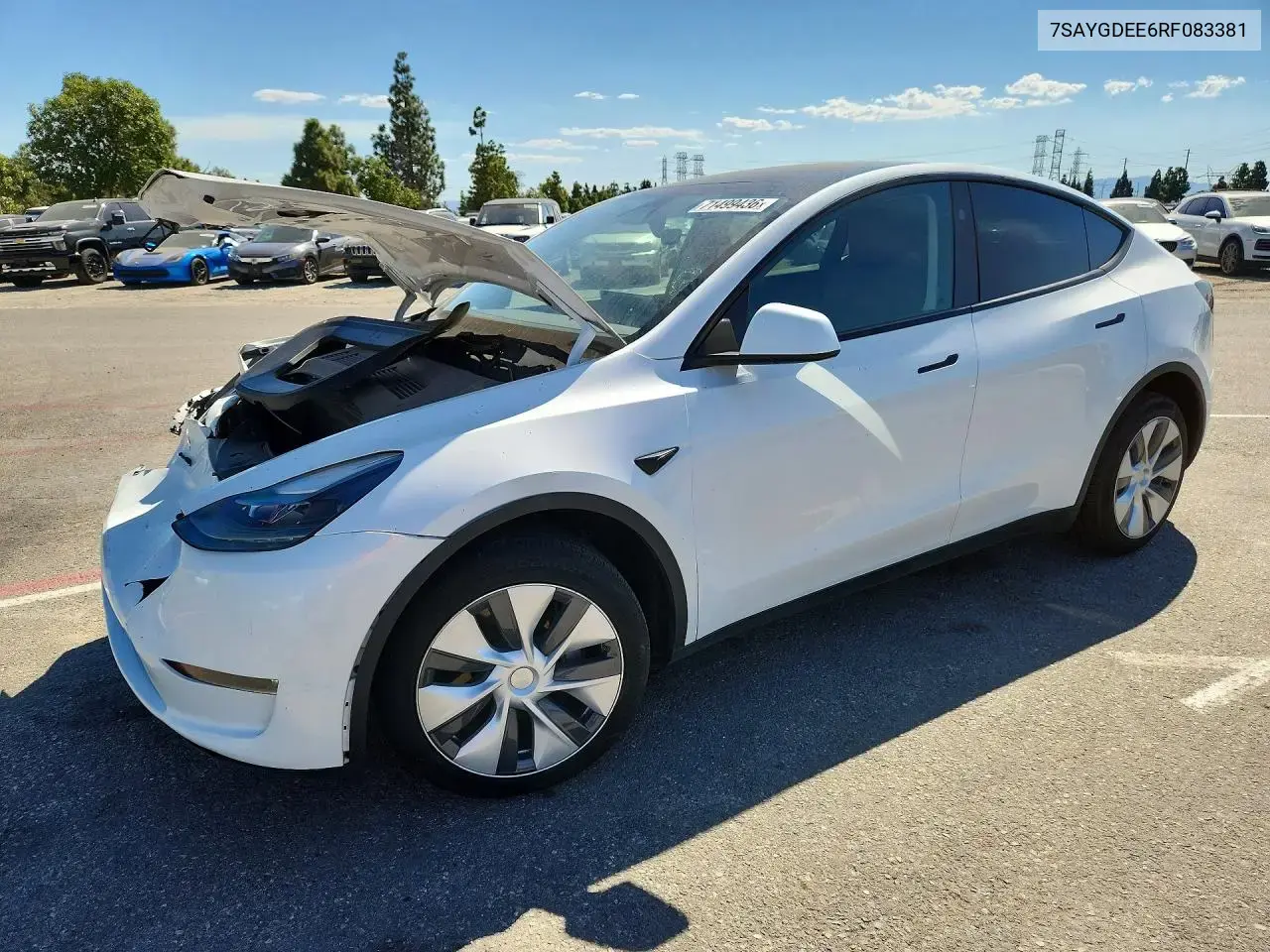 Tesla Model Y 2024