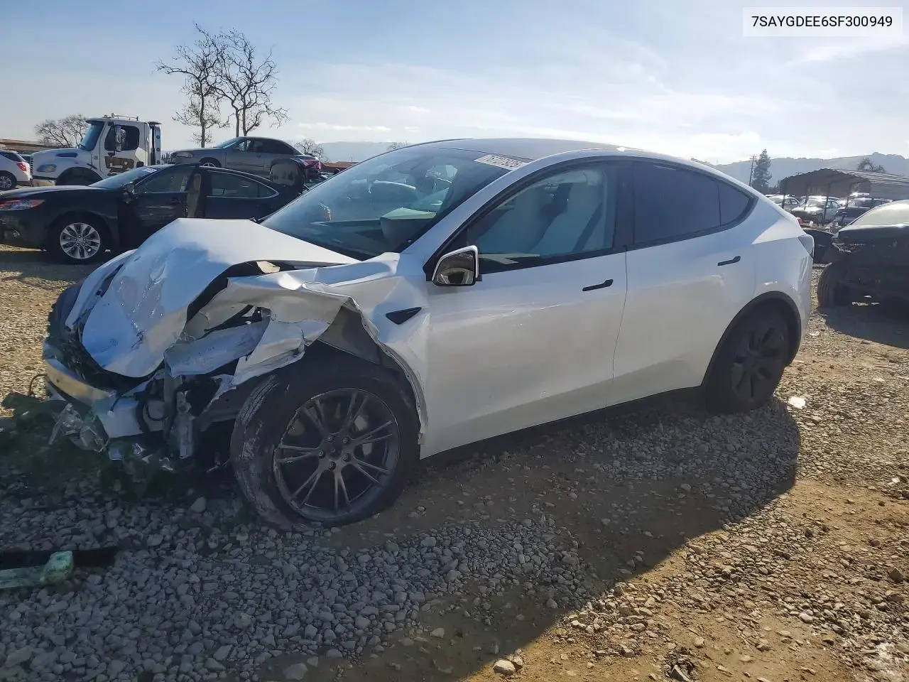 Tesla Model Y 2025
