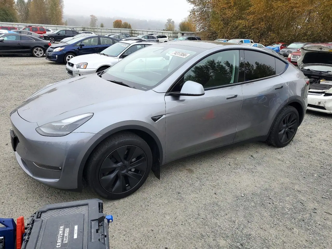 Tesla Model Y 2025