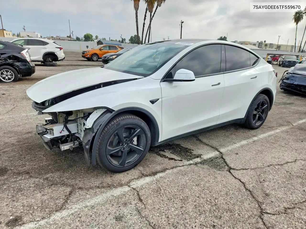 Tesla Model Y 2026