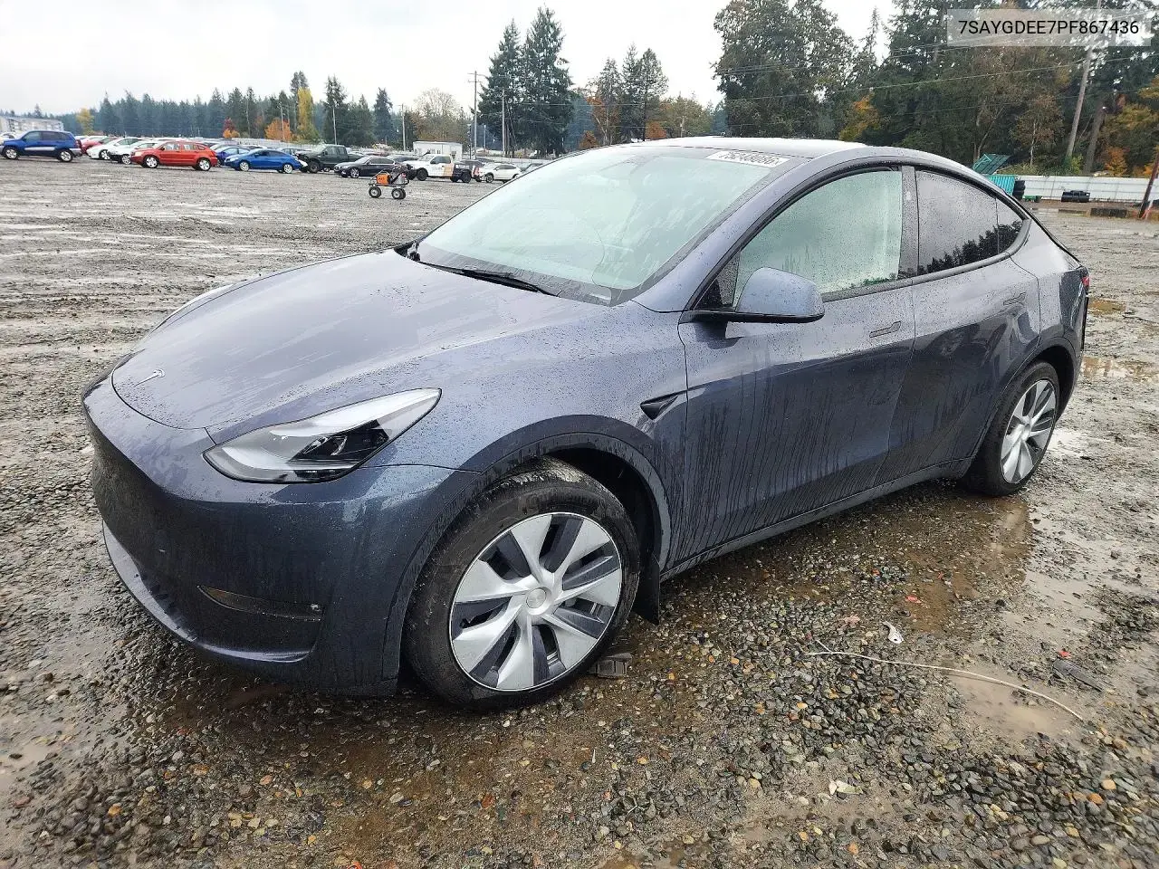 Tesla Model Y 2023