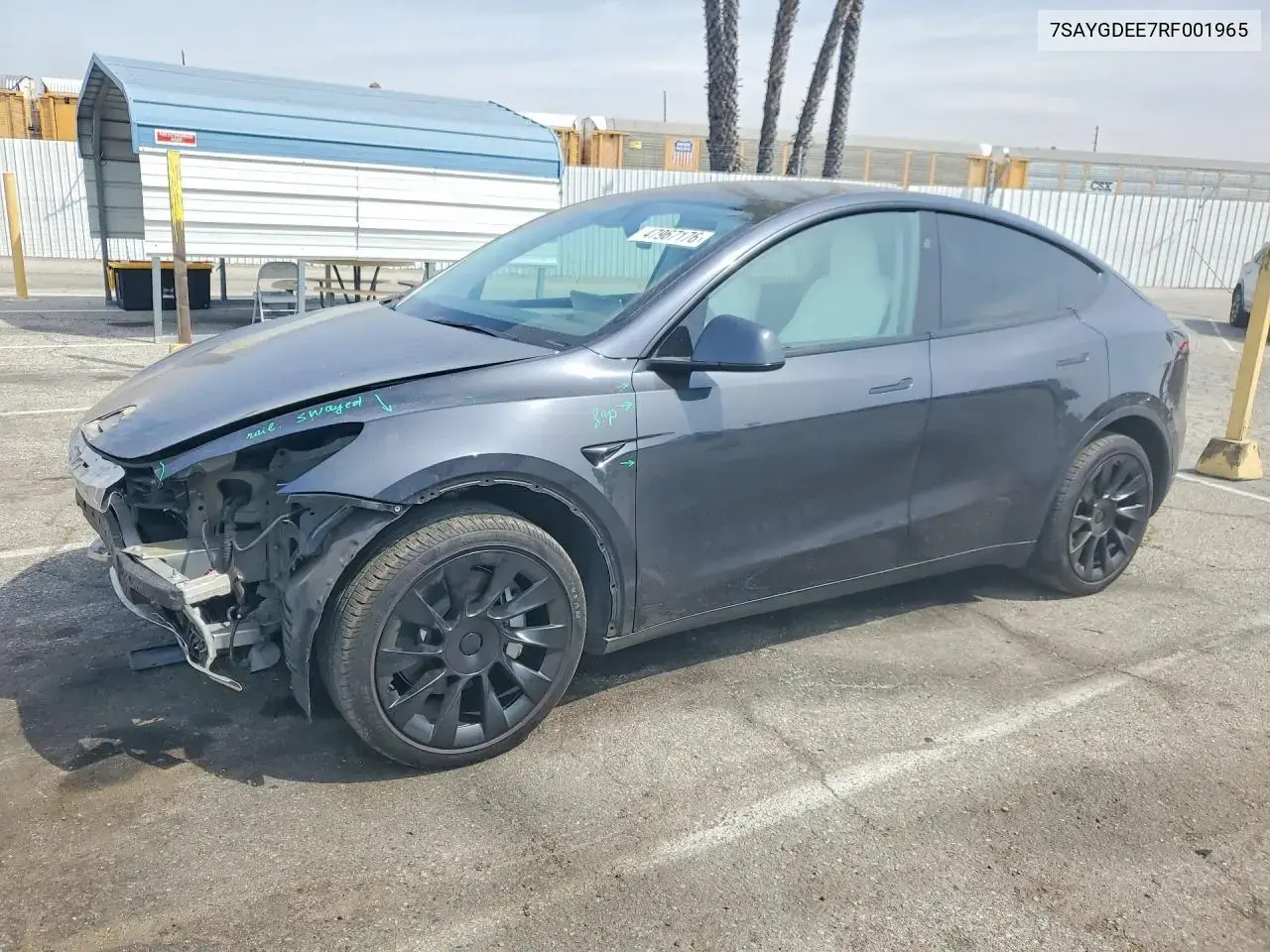 Tesla Model Y 2024