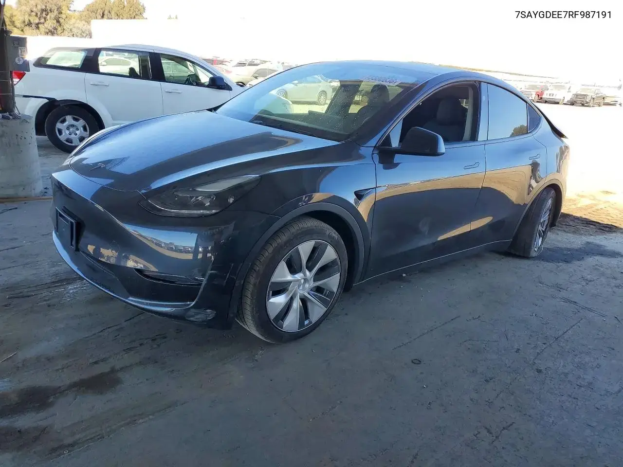 Tesla Model Y 2024