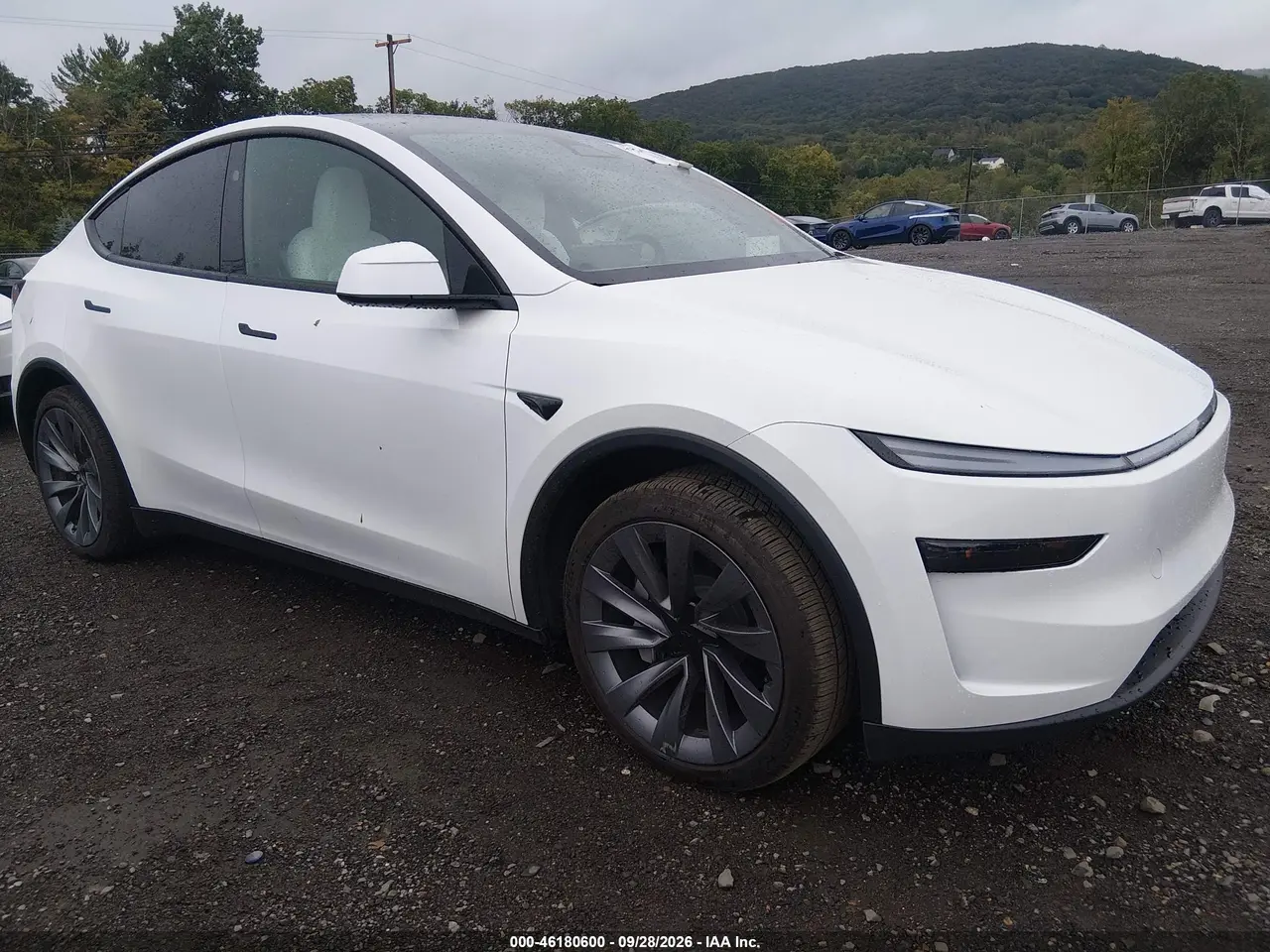 Tesla Model Y All-Wheel Drive/Long Range Launch Series/Premium All-Wheel Drive 2026