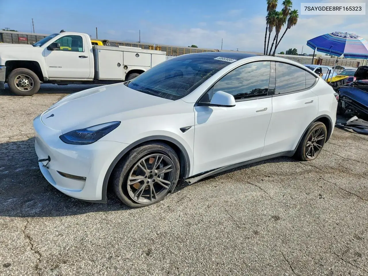 Tesla Model Y 2024