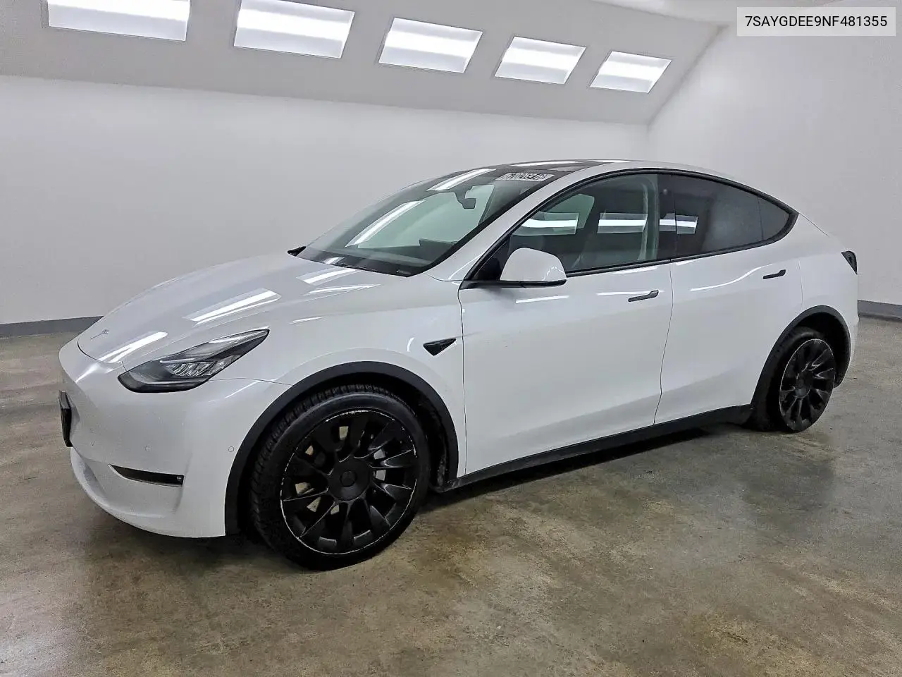 Tesla Model Y 2022