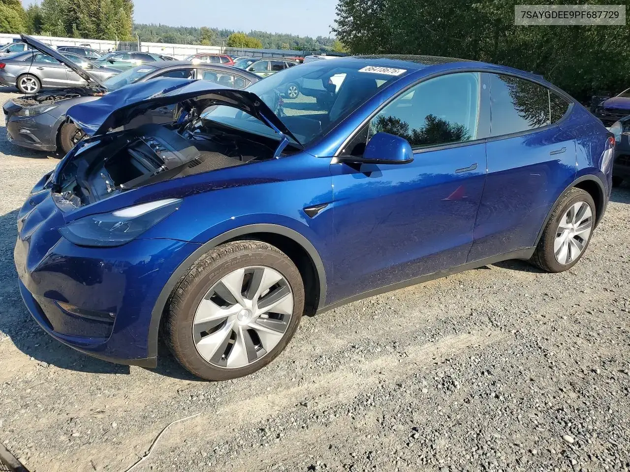 Tesla Model Y 2023