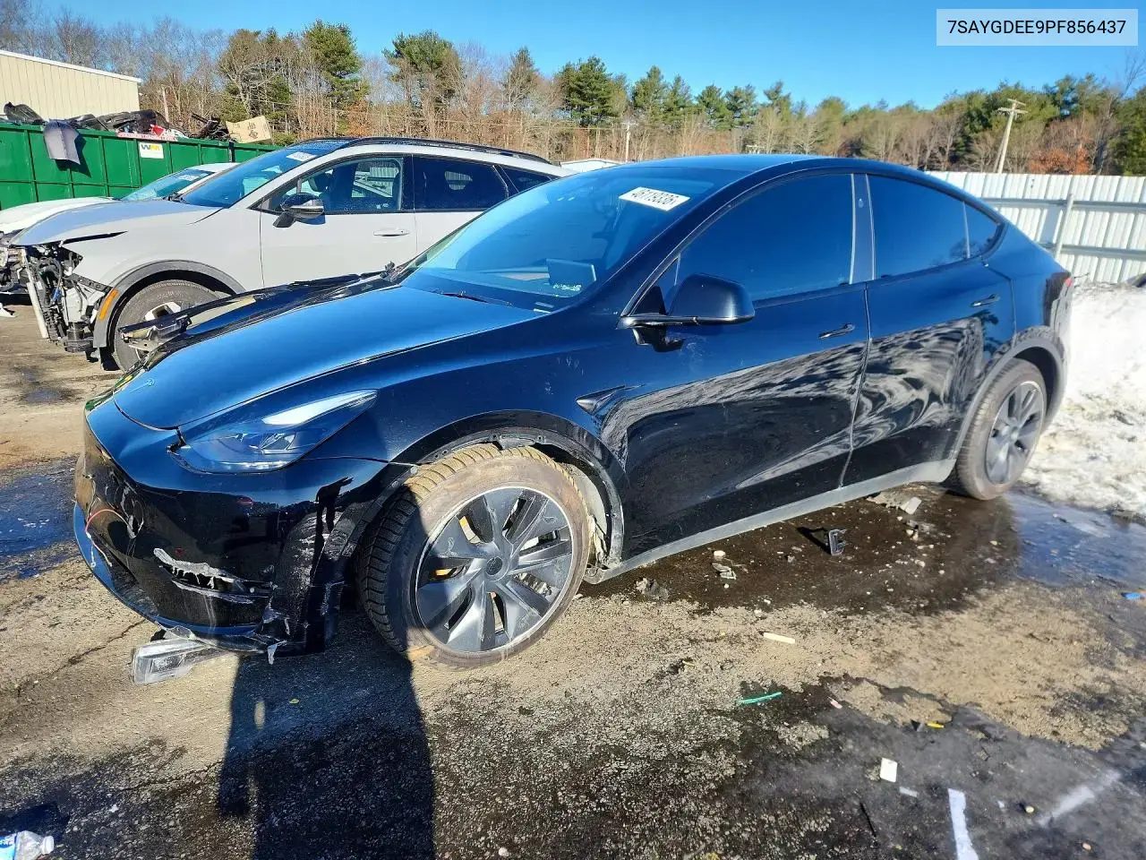 Tesla Model Y 2023