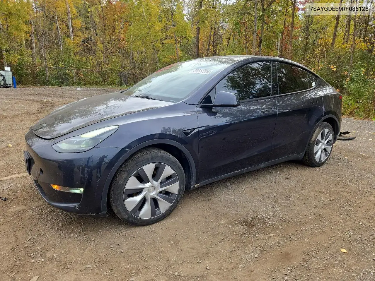 Tesla Model Y 2024