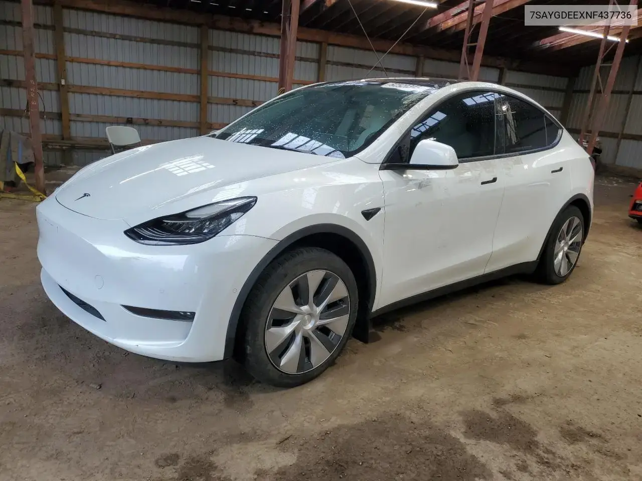 Tesla Model Y 2022