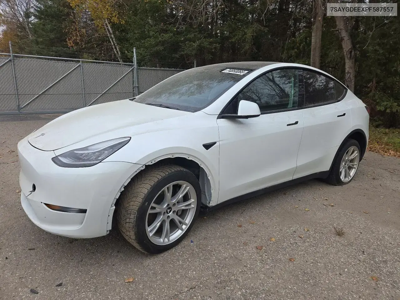 Tesla Model Y 2023