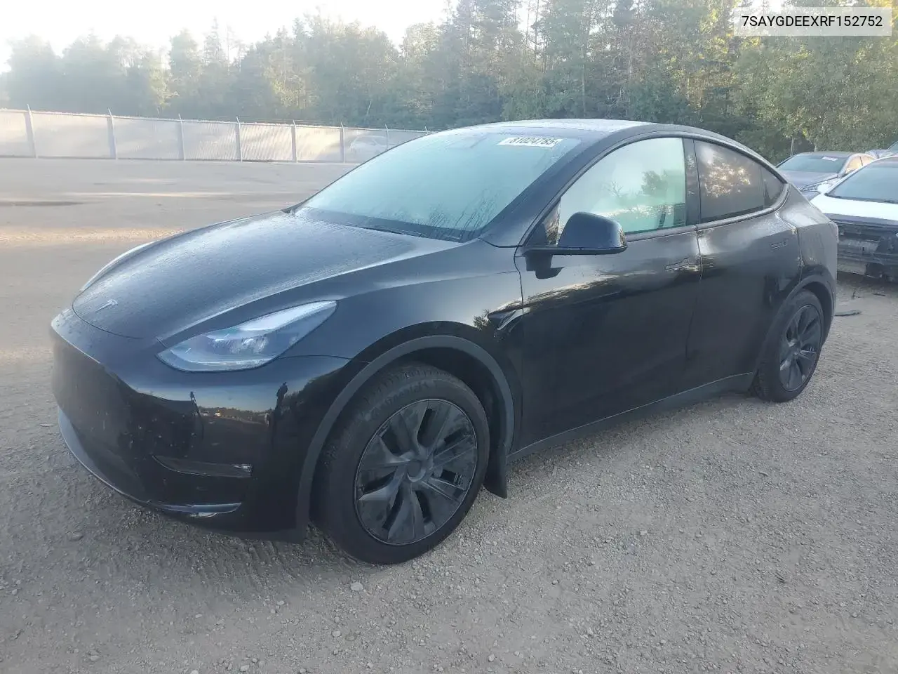 Tesla Model Y 2024