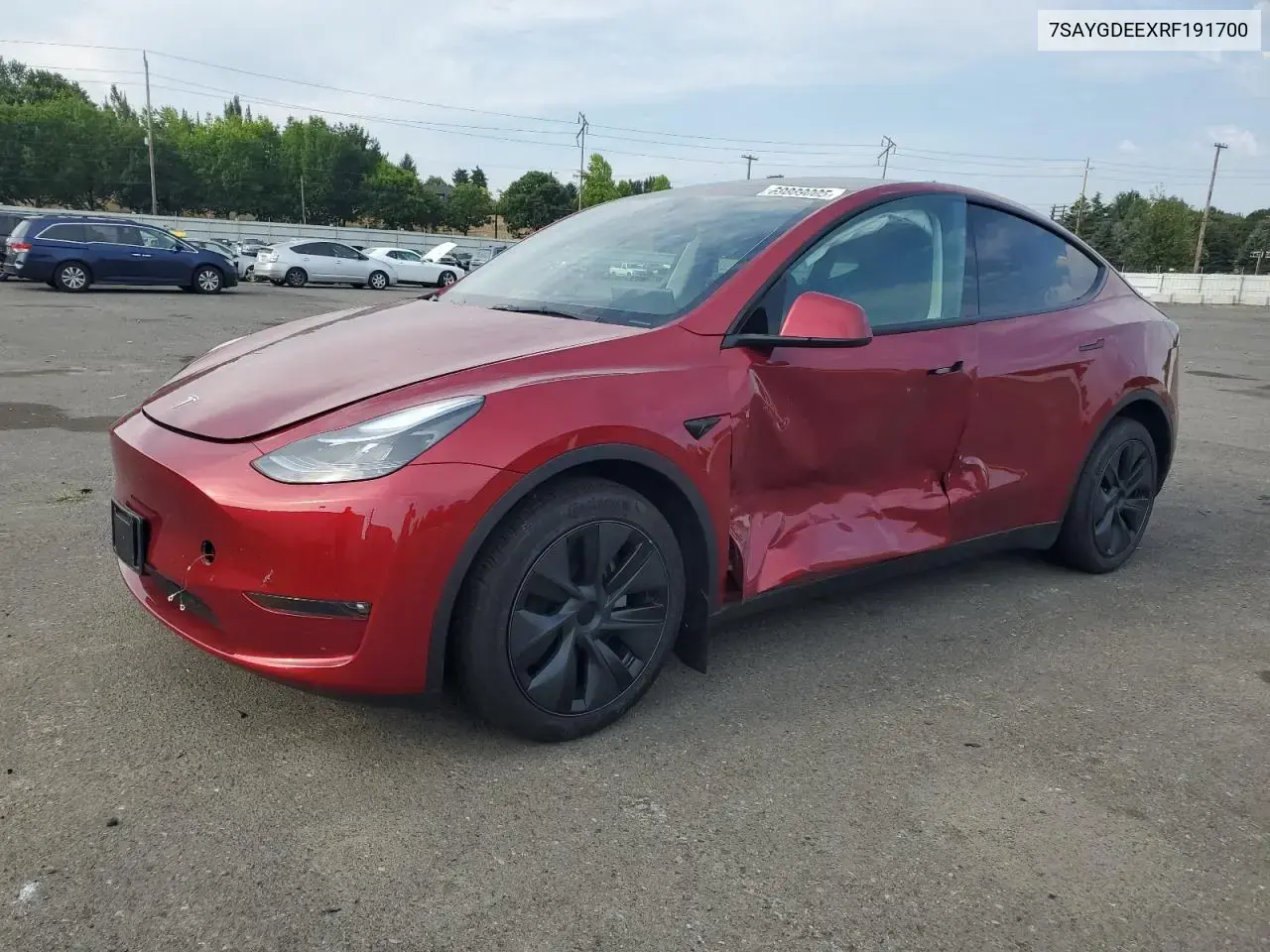 Tesla Model Y 2024