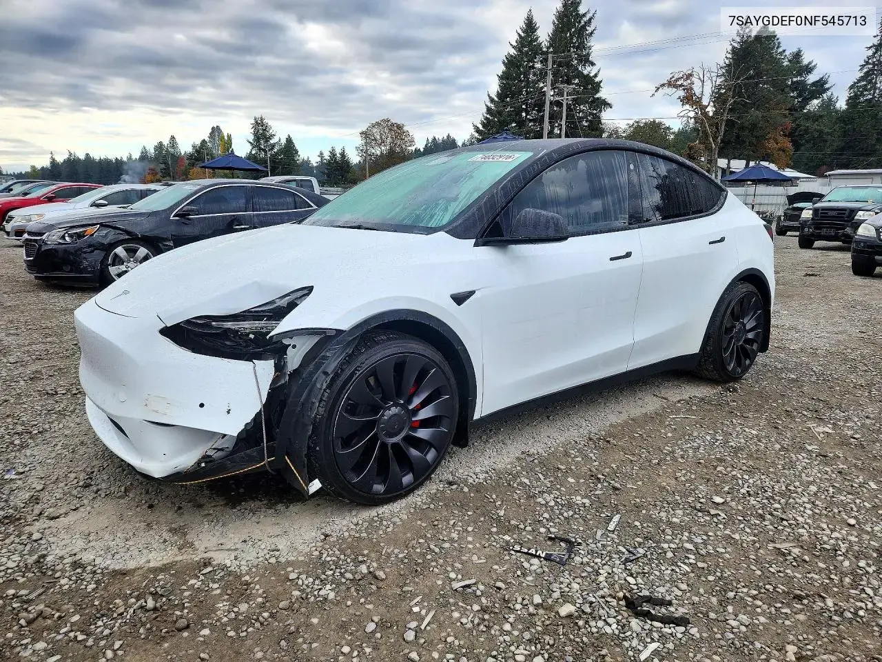Tesla Model Y 2022