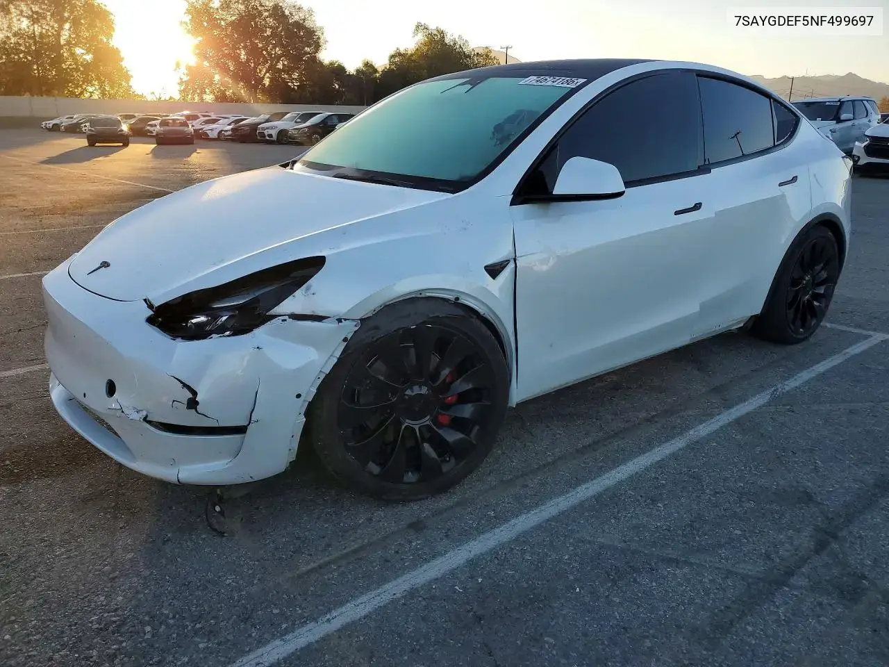 Tesla Model Y 2022