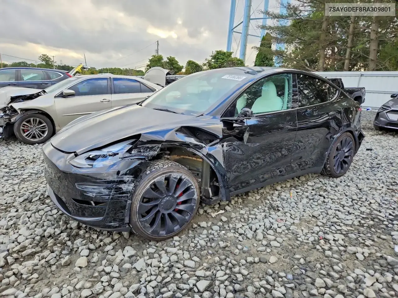 Tesla Model Y 2024