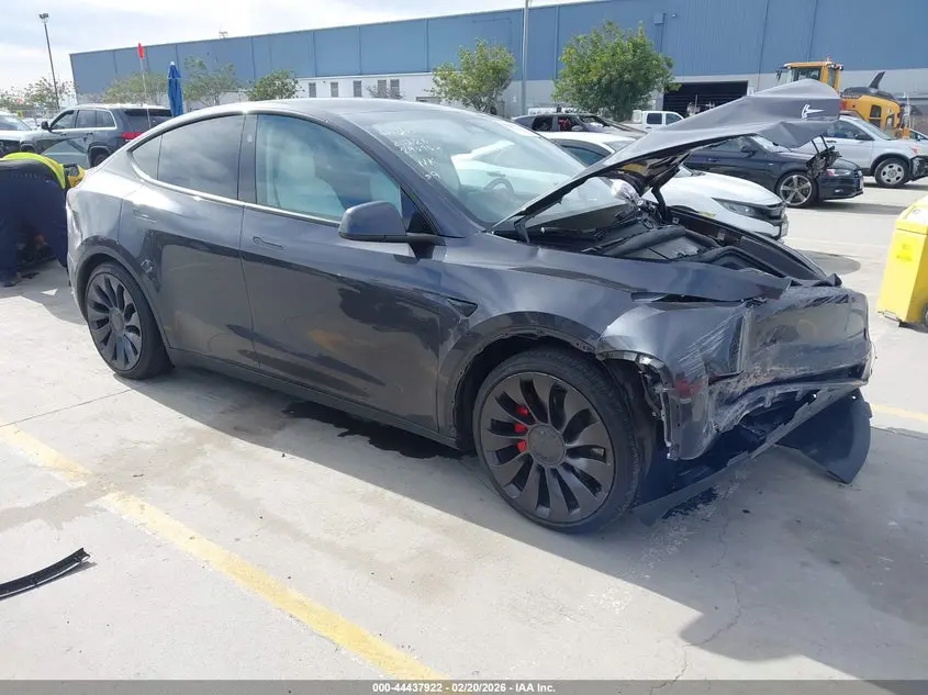 Tesla Model Y Performance Dual Motor All-Wheel Drive 2024
