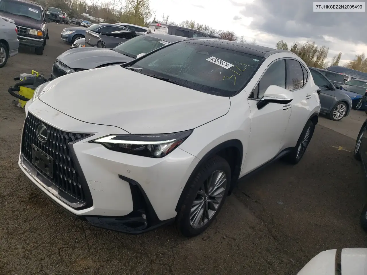 Lexus Nx 350H 2022