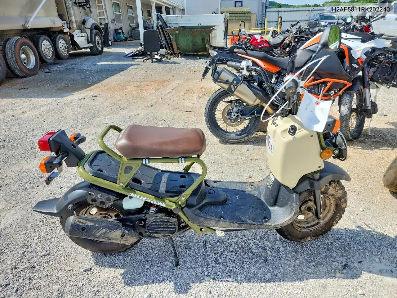 Honda Nps50 2024