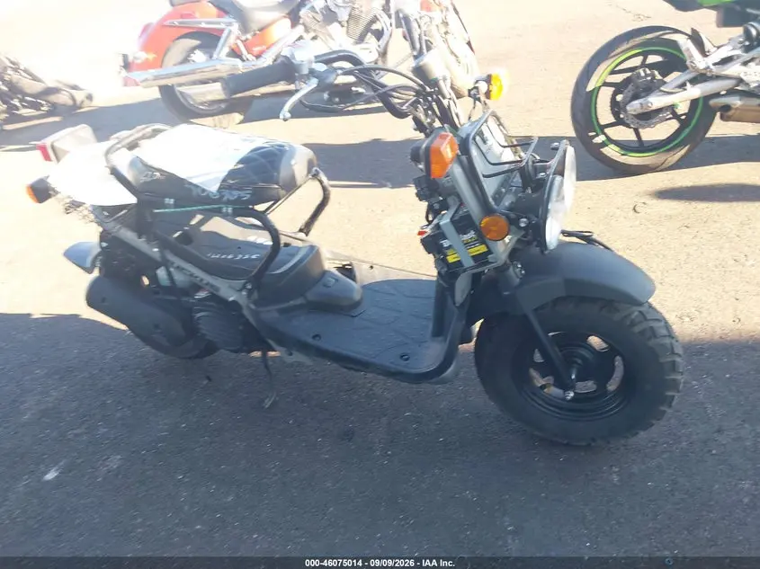 Honda Nps50 2022