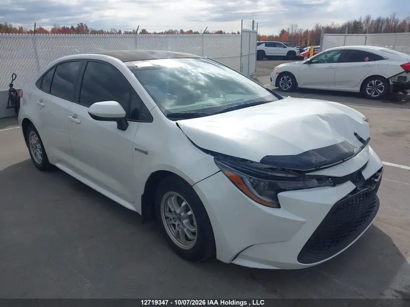 Toyota Corolla Le 2020