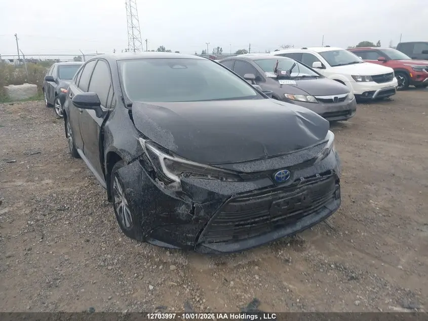 Toyota Corolla Hybrid Le 2024