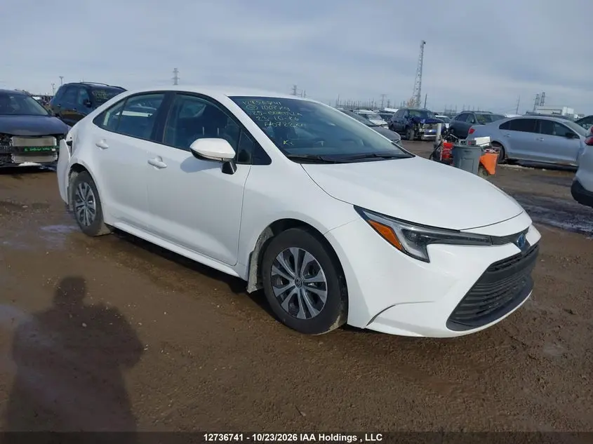Toyota Corolla Le/Se/Xle 2025