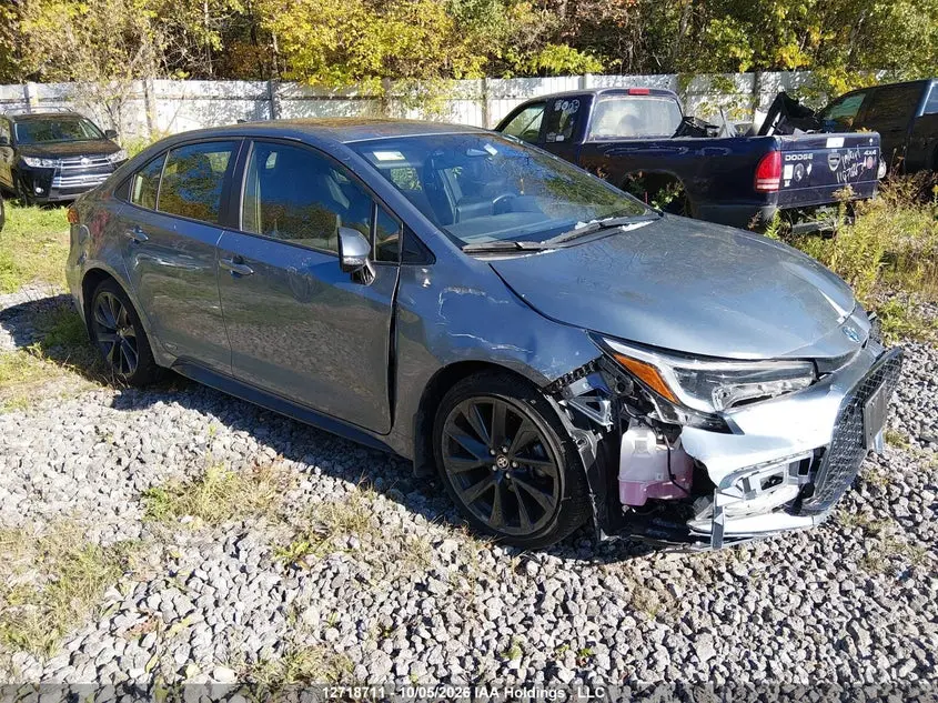 Toyota Corolla 2024