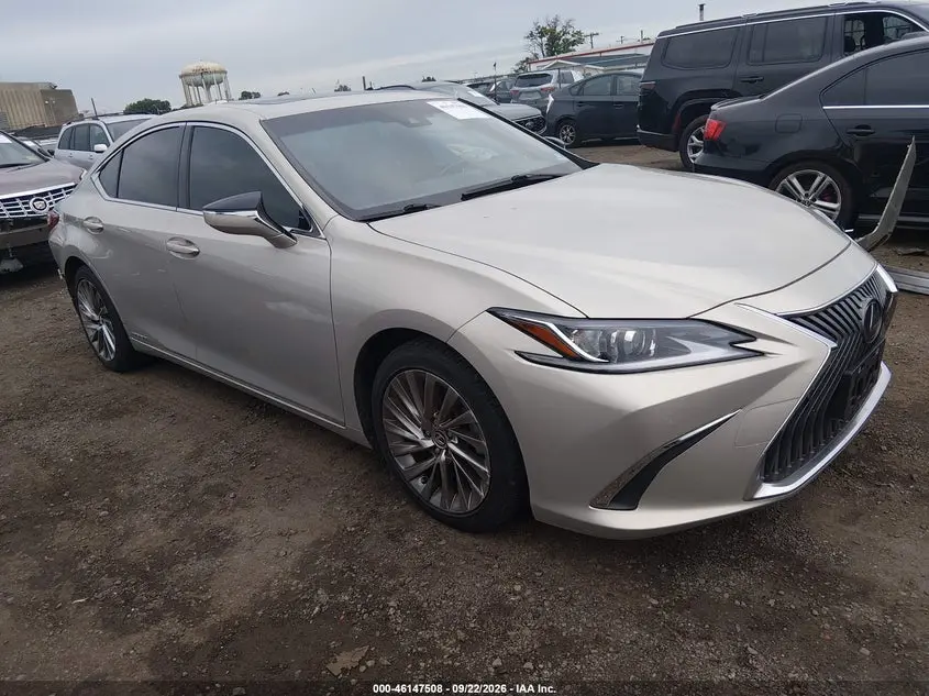 Lexus Es 300H Luxury 2019