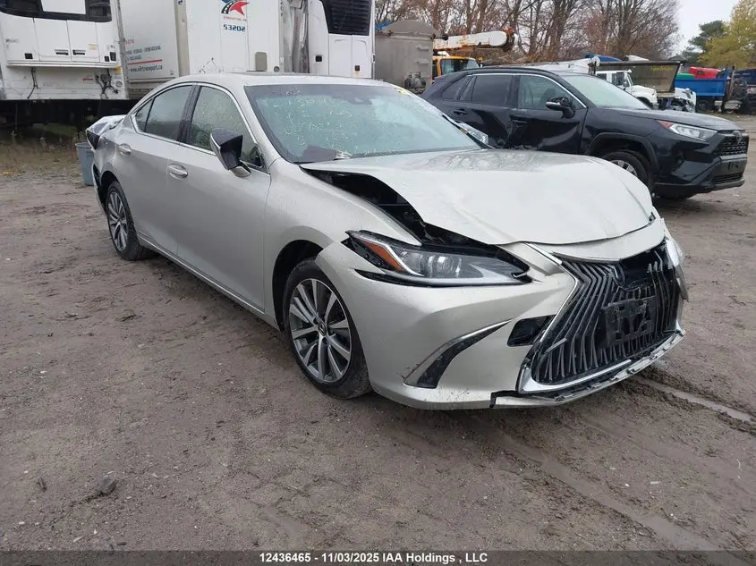 Lexus Es 300H 300H 2019