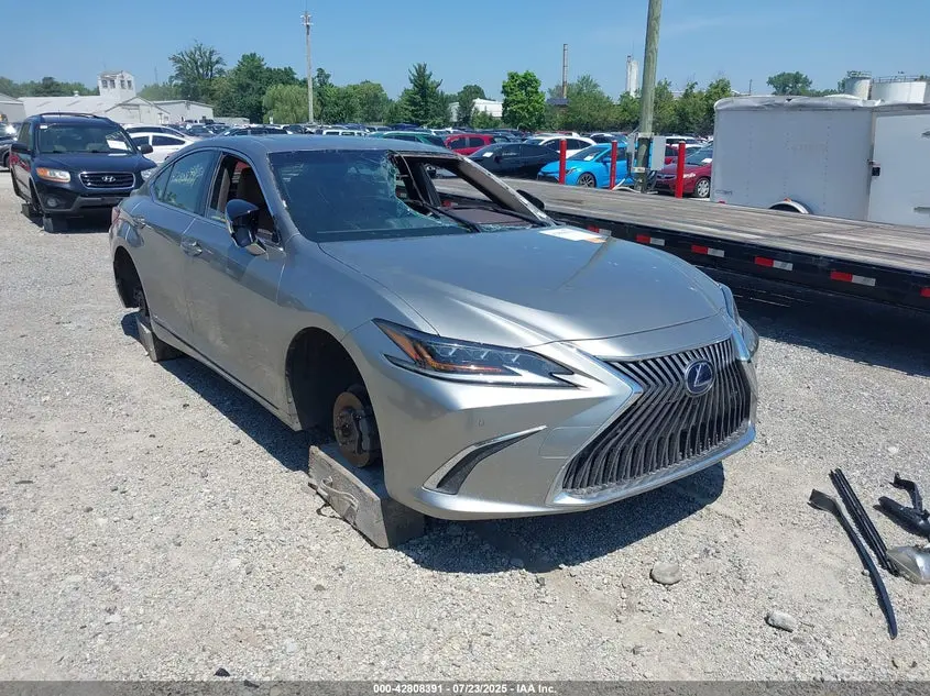 Lexus Es 300H Luxury 2019