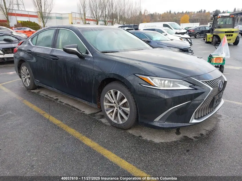 Lexus Es 300H 300H 2019