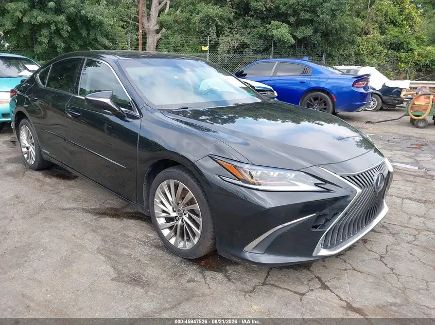 Lexus Es 300H Luxury 2019