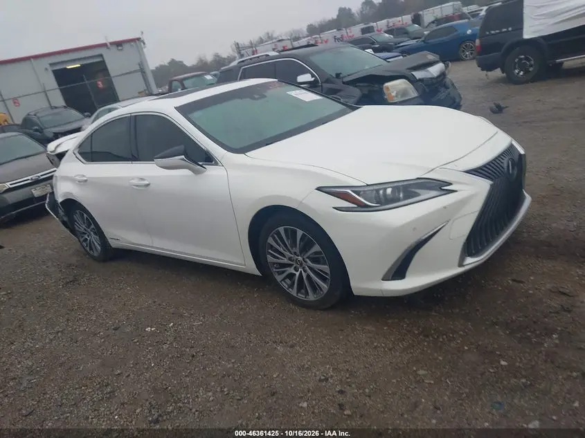 Lexus Es 300H 2019
