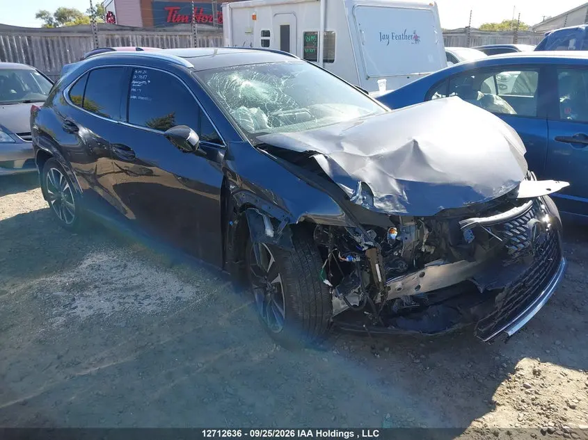 Lexus Ux 250H 2023