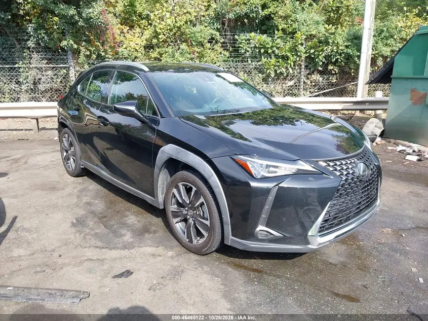 Lexus Ux 200 2021
