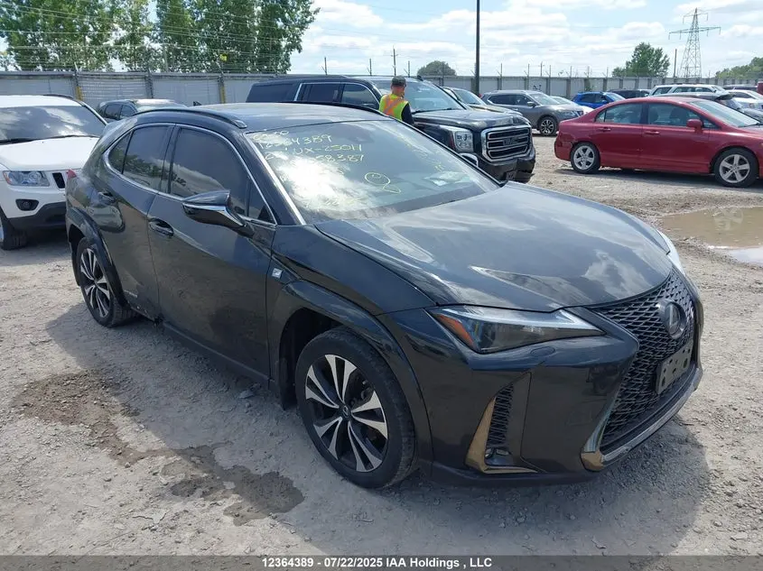 Lexus Ux 250H 2022