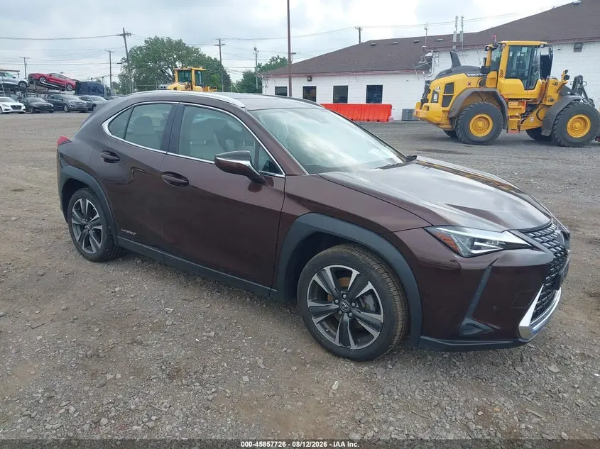 Lexus Ux 250H 2019